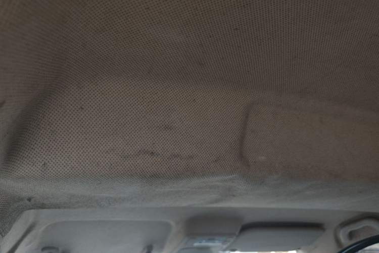 Used Foton Gatu ix5 2018 1.5L Standard Version DAM15DL Headliner