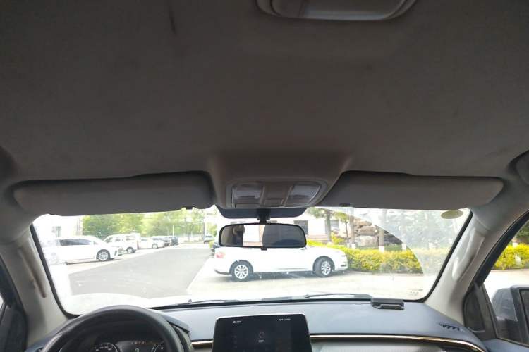 Used Foton General G9 2021 2.0T Armored Great General Manual 4x4 Leisure Edition Enjoyment Version Long Bed 4F20TC Headliner