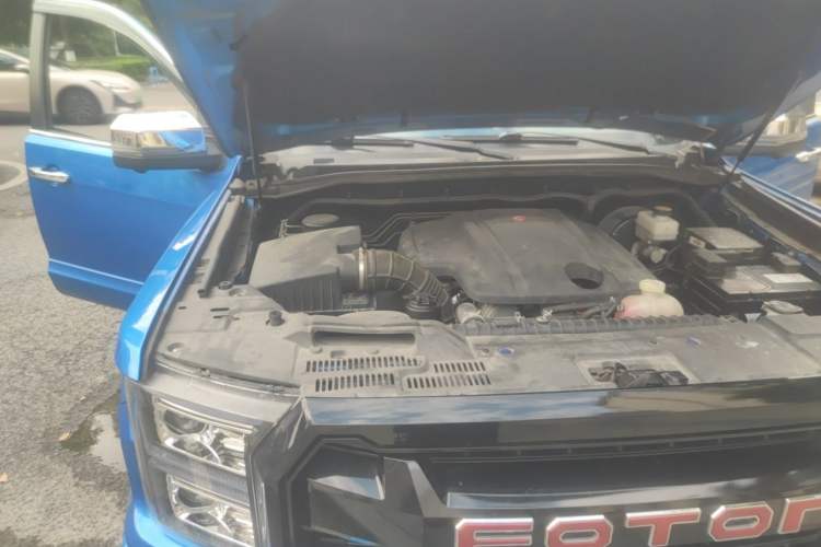 Used Foton General G9 2021 2.0T Armored Great General Automatic Two-Wheel Drive Leisure Edition Premium Version Standard Box 4G20TI5 Engine Bay Right