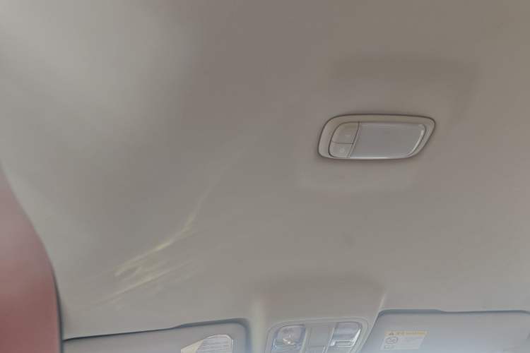 Used Foton General G9 2021 2.0T Armored Great General Manual 4x4 Leisure Edition Enjoyment Version Long Bed 4F20TC Headliner