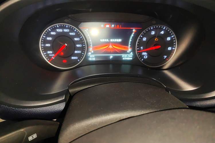 Used Foton General G9 2021 2.0T Armored Great General Automatic Two-Wheel Drive Leisure Edition Premium Version Standard Box 4G20TI5 Odometer Close Up