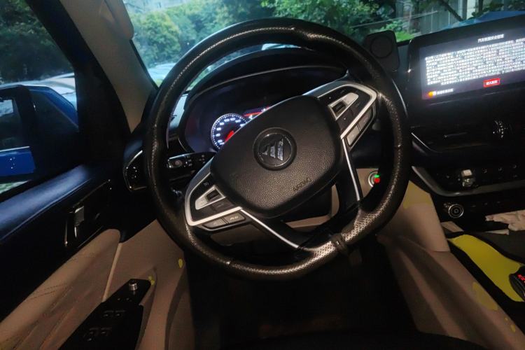Used Foton General G9 2021 2.0T Armored Great General Automatic Two-Wheel Drive Leisure Edition Premium Version Standard Box 4G20TI5 Steering Wheel