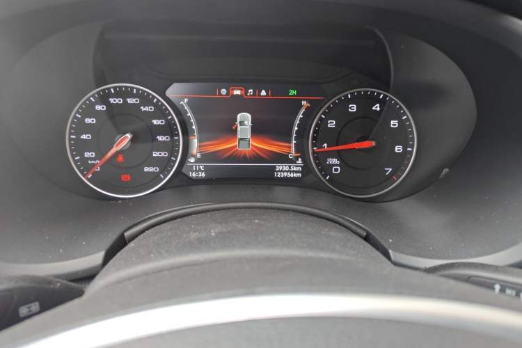 Used Foton General G9 2021 2.0T Armored Great General Manual 4x4 Leisure Edition Enjoyment Model Long Bed 4G20TI5 Odometer Close Up
