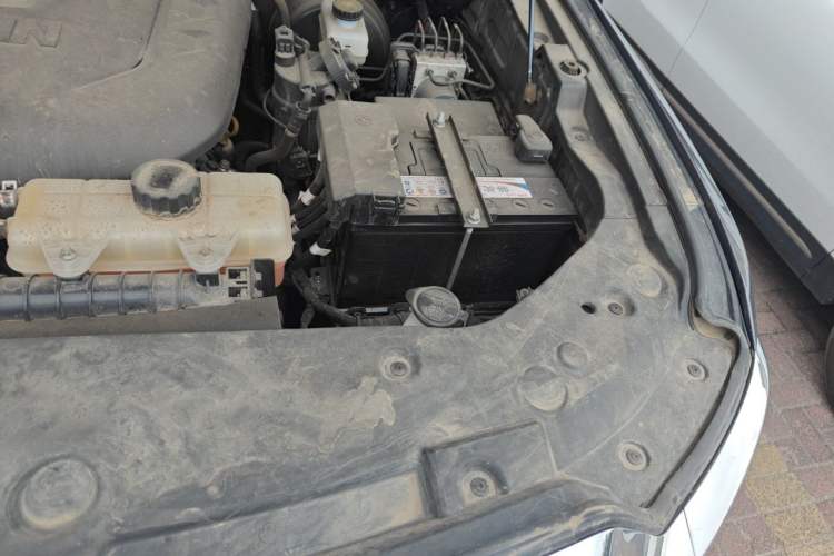 Used Foton Mars 2023 Mars 7 2.0T Diesel Automatic 4x4 Long-Wheelbase Elite Model Engine Bay Left