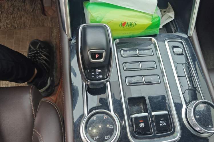 Used Foton Mars 2023 Mars 7 2.0T Diesel Automatic 4x4 Long-Wheelbase Elite Model Gear Lever