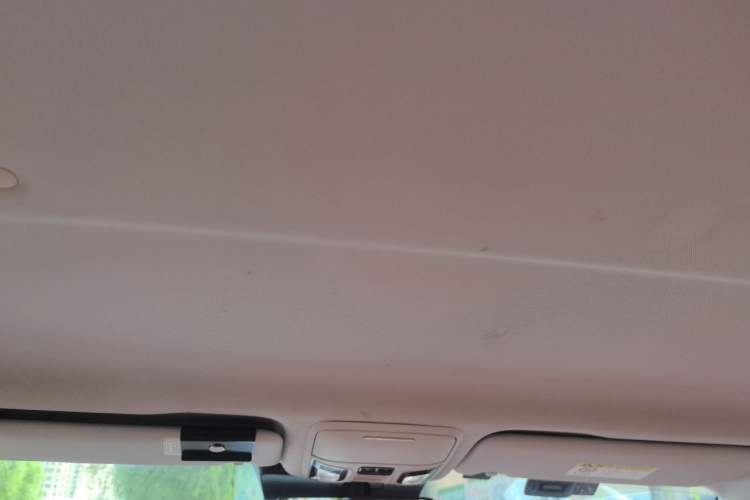 Used Foton Mars 2023 Mars 9 2.0T Diesel Automatic 4x4 Standard-Wheelbase Flagship Model Headliner
