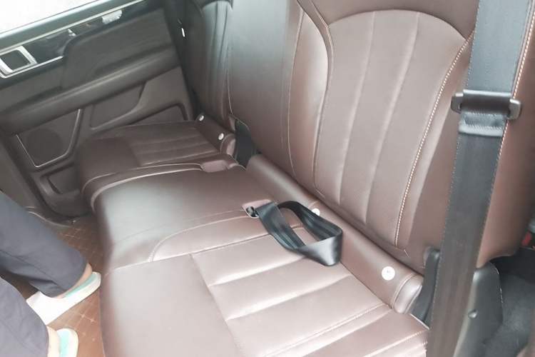 Used Foton Mars 2024 Mars 7 2.0T Diesel Manual Two-Wheel Drive Long-Wheelbase Launch Edition Left Rear Seat