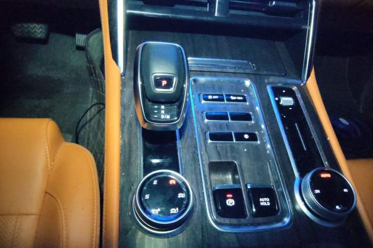 Used Foton Mars 2024 Mars 9 2.0T Gasoline Automatic 4x4 Standard-Wheel Luxury Edition Gear Lever