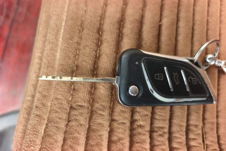 Used Foton MP-X E 2011 2.0L - M240L Wealthy Express Classic Edition 486EQV4 Vehicle Key