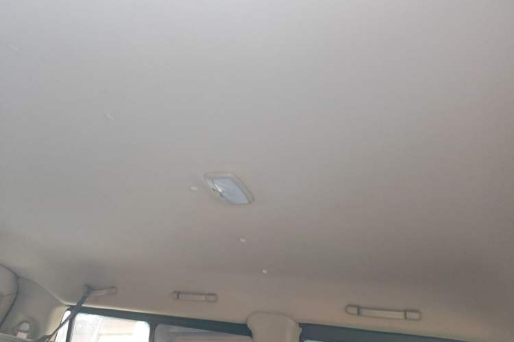 Used Foton MP-X E 2014 2.5T Wealth Express Classic Trim Basic Version with 4JB1T Engine Headliner