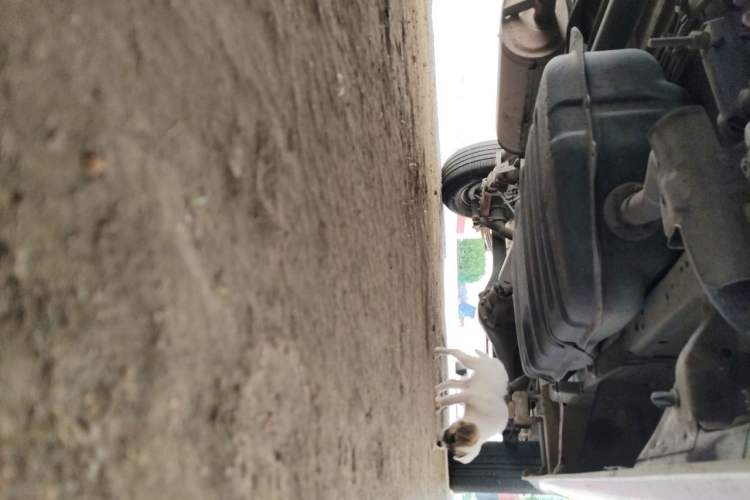 Used Foton MP-X E 2014 2.0L Wealth Express Classic Edition Basic Configuration with 4Gi-VVT Chassis Front Left
