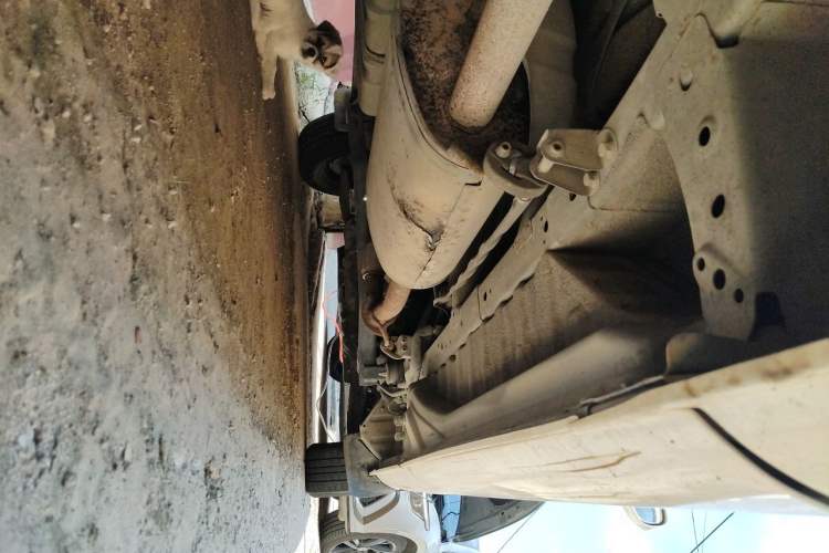 Used Foton MP-X E 2014 2.0L Wealth Express Classic Edition Basic Configuration with 4Gi-VVT Chassis Rear Right