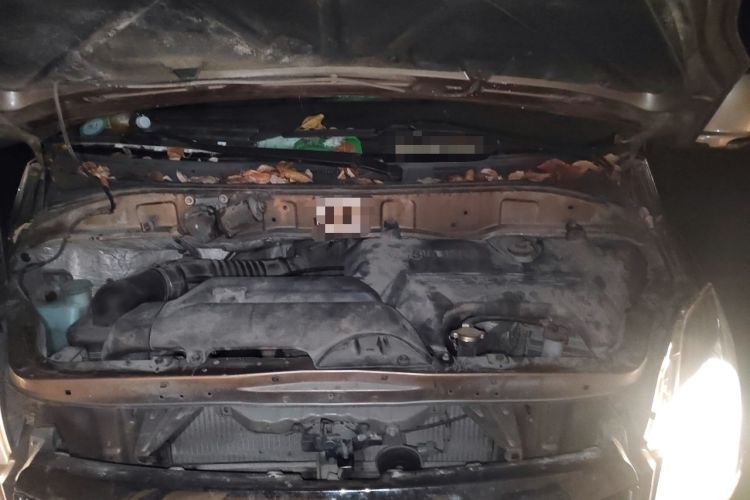 Used Foton MP-X E 2016 2.0L Express Edition 4G63 Engine Bay