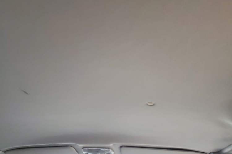 Used Foton MP-X E 2016 2.0L Express Edition 4G63 Headliner