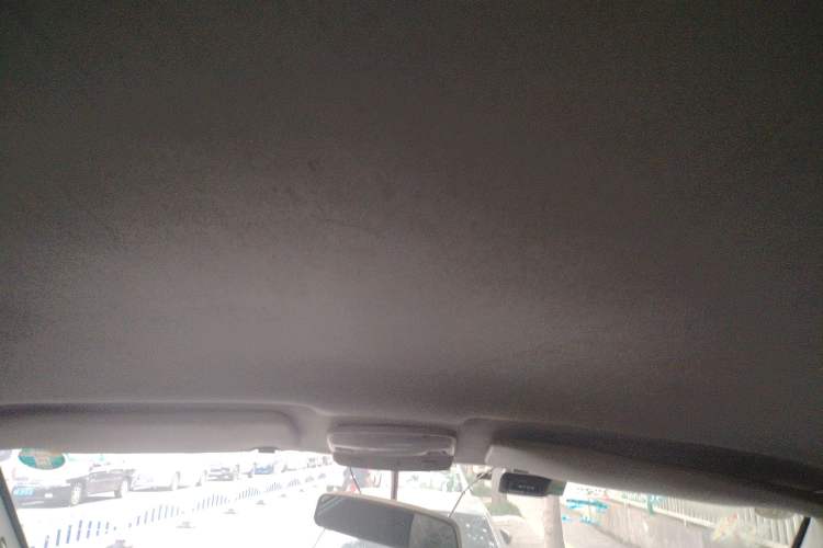 Used Foton MP-X E 2016 2.0L Express Edition 4G63 Headliner