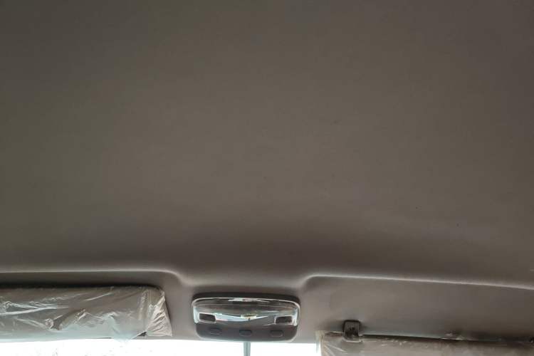 Used Foton MP-X E 2016 2.0L Express Edition 4G63 Headliner