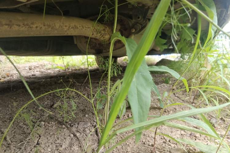 Used Foton MP-X E 2016 2.0L Express Version 4Gi-VVT Chassis Rear Right