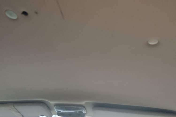 Used Foton MP-X E 2016 2.0L Commercial Version 4G63 Headliner