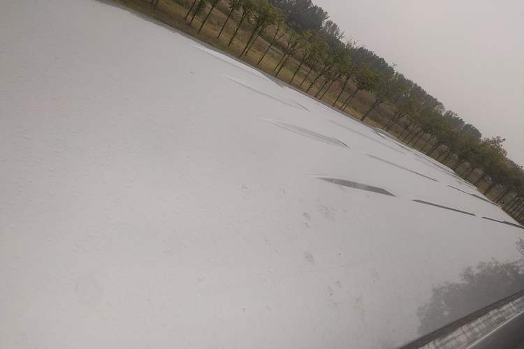 Used Foton MP-X E 2016 2.0L Express Version 4Gi-VVT Roof