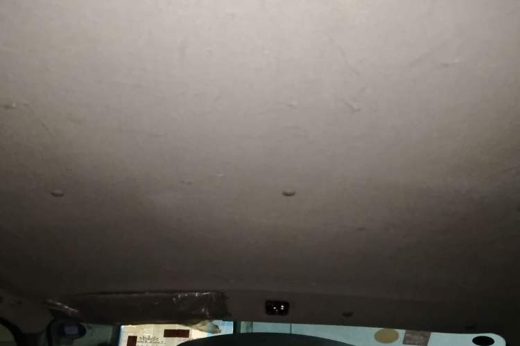 Used Foton MP-X E 2017 2.0L New Express Long Wheelbase 4Q20M Headliner