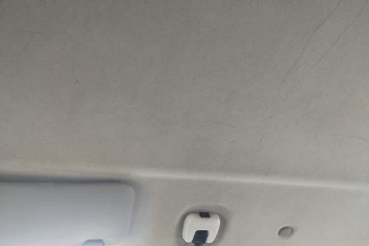 Used Foton MP-X E 2017 2.0L New Express Long Wheelbase 4Q20M Headliner