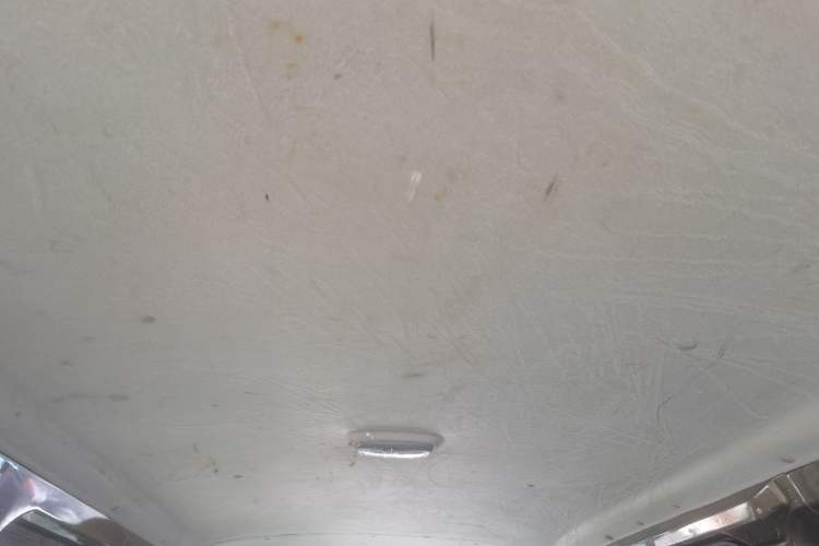 Used Foton MP-X E 2017 2.0L New Express Long Wheelbase 4Q20M Headliner