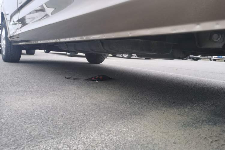 Used Foton MP-X E 2017 2.0L New Express Long Wheelbase 4Q20M Left Side Sill