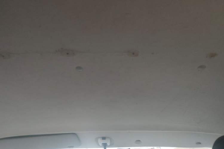 Used Foton MP-X E 2017 2.0L New Express Long Wheelbase 4Q20M Headliner