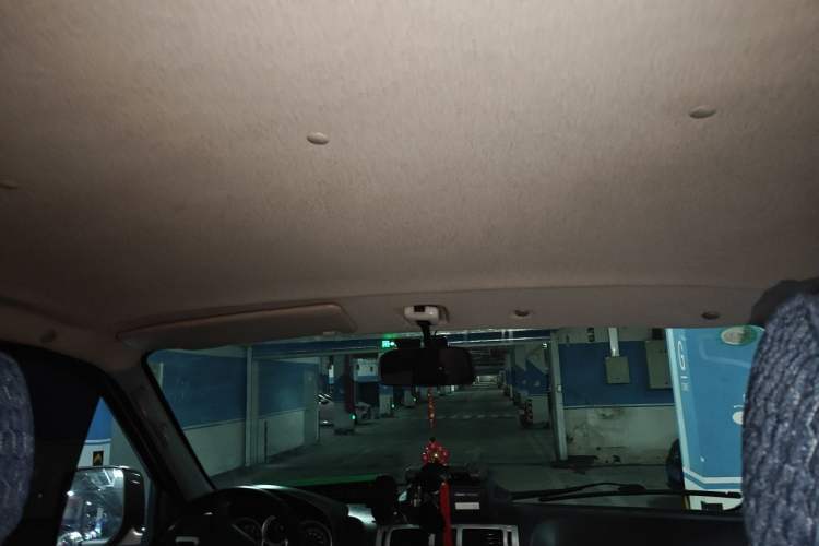 Used Foton MP-X E  Headliner