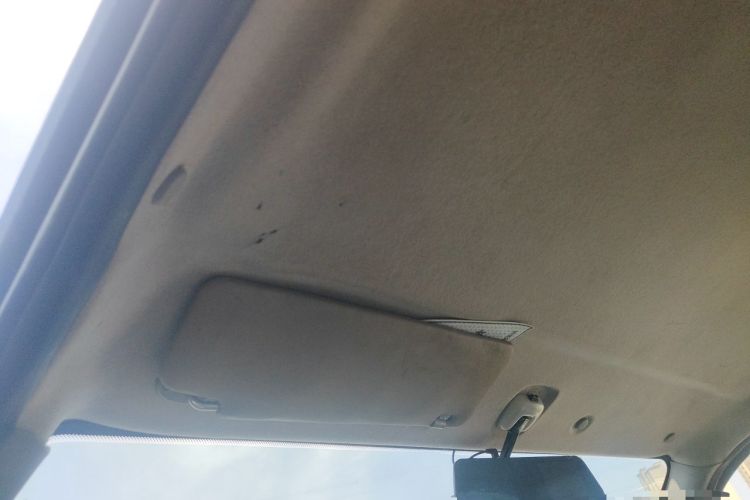 Used Foton MP-X E  Headliner