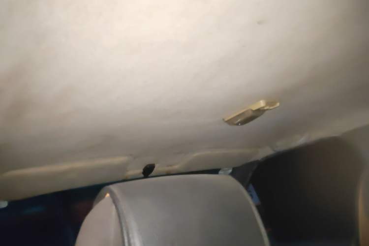 Used Foton Sapporo 2011 2.8T Acadia T3 Headliner