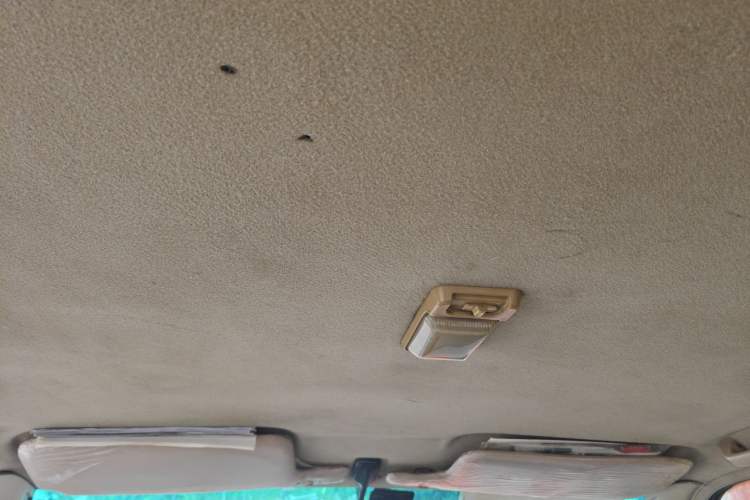 Used Foton Sapporo  Headliner