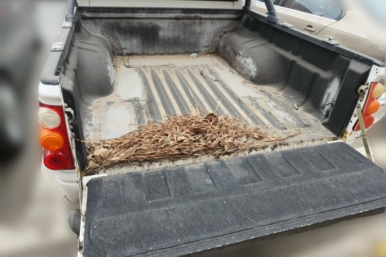Used Foton Sapporo  Trunk