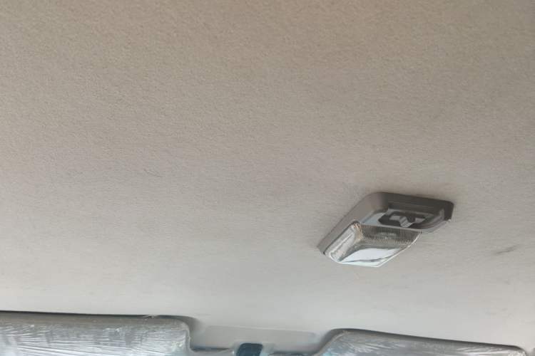 Used Foton Sapporo 2021 1.5L Two-Wheel Drive China VI Standard Chuangfu Xiaohuolang DAM15KL Headliner