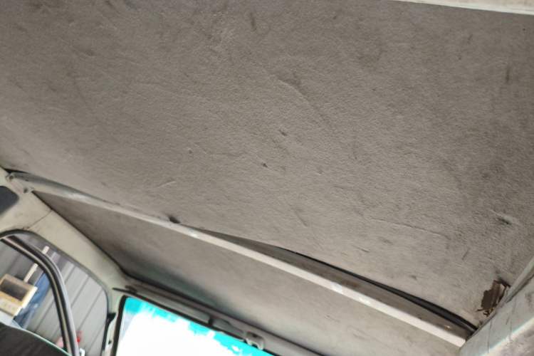 Used Foton Scenic  Headliner