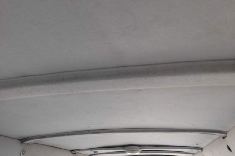Used Foton Scenic  Headliner