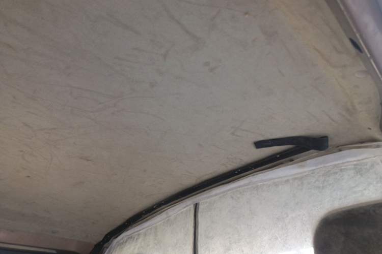 Used Foton Scenic G5 2019 2.0L New Express 6-Seater 1TZ Headliner