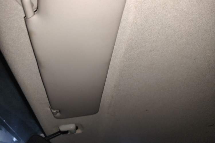 Used Foton Scenic G5 2019 2.0L Restyled New Express 6-Seater Multi-Purpose Passenger Vehicle 1TZ Headliner