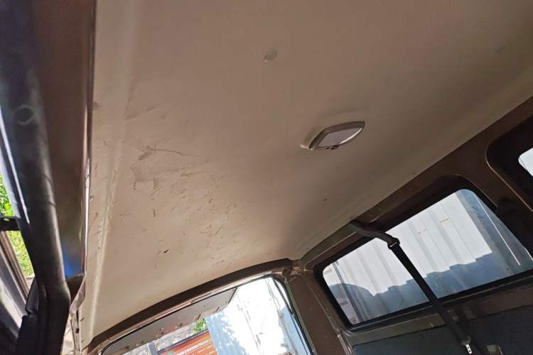 Used Foton Scenic G5  Headliner