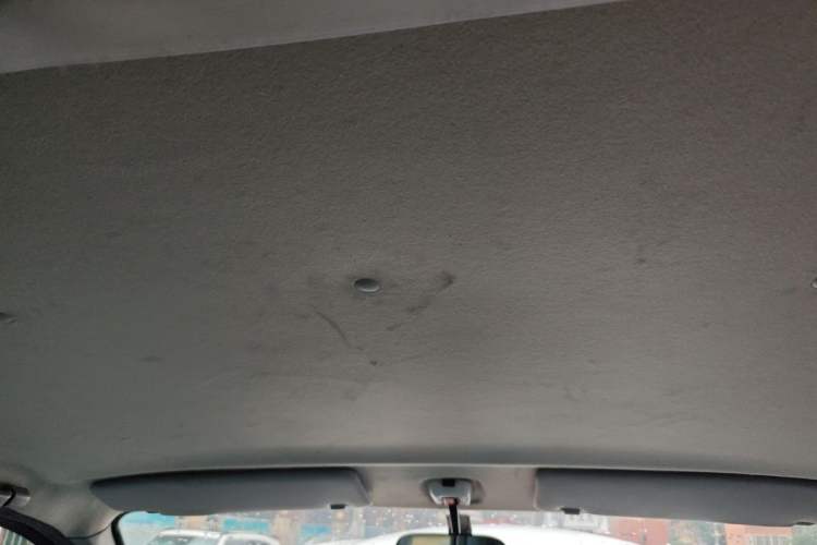 Used Foton Scenic G5  Headliner