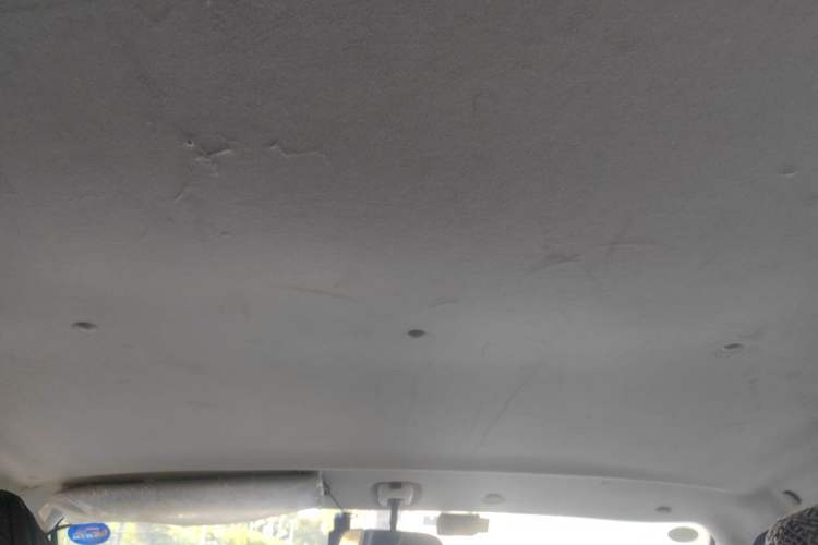 Used Foton Scenic G5  Headliner