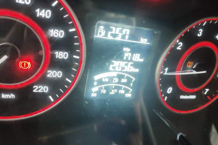 Used Foton Scenic G5 2023 2.0L Gasoline Commercial Version Open-Window 5/6-Seater DAN20L Odometer Close Up