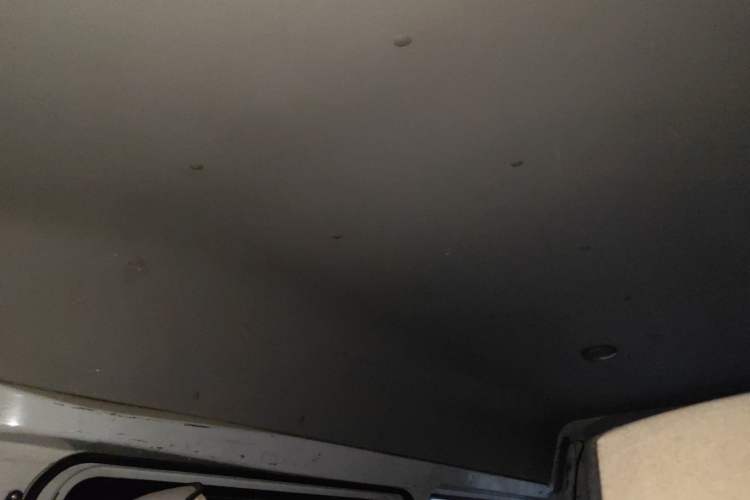 Used Foton Scenic G7 2014 2.0L Shangtong Version Short Wheelbase High Roof 486EQV4 Headliner