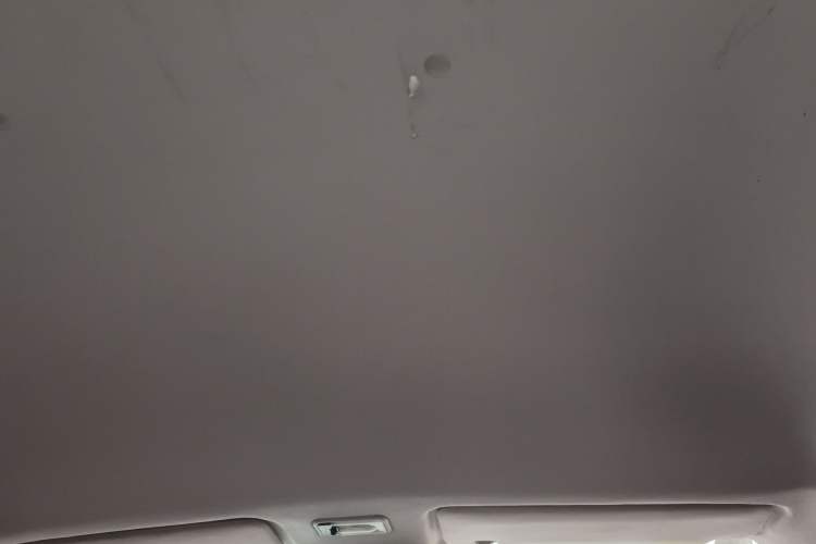 Used Foton Scenic G7 2017 2.0L Short-Wheelbase Commercial Van High Roof 6-Seater 4Q20M Headliner