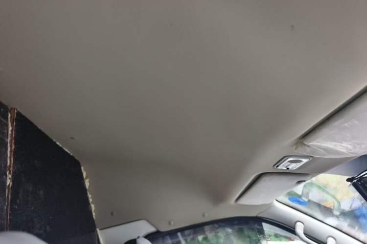 Used Foton Scenic G7 2017 2.0L Short-Wheelbase Commercial Van High Roof 4 Seats 4Q20M Headliner