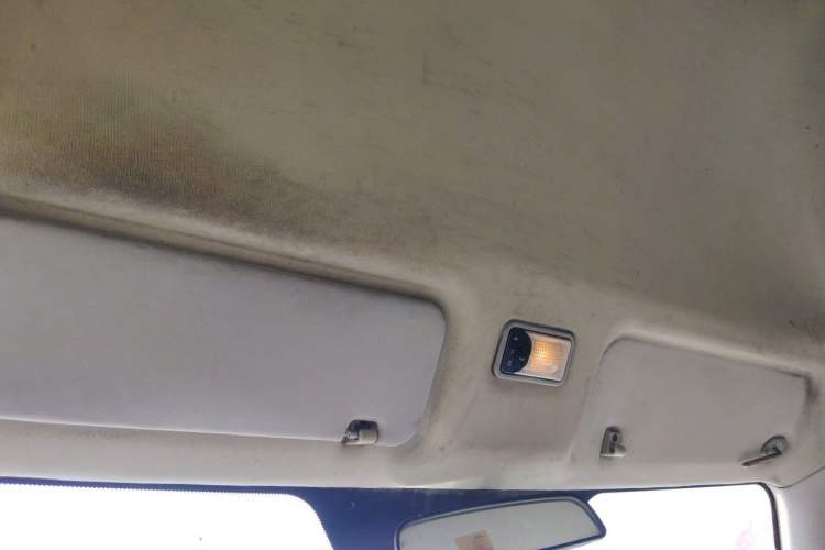 Used Foton Scenic G7  Headliner