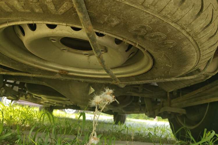 Used Foton Scenic G7  Chassis Rear