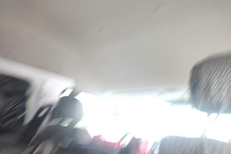 Used Foton Scenic G7  Headliner