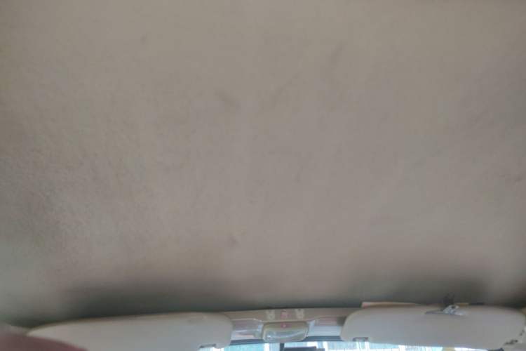 Used Foton Scenic V3 2015 1.0L Standard Version LJ465Q Headliner
