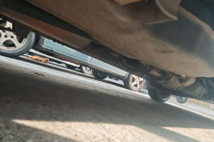 Used Foton Scenic V5 2015 1.2L Standard G12 Chassis Rear Right
